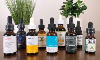 CBD Oil Solutions Review
